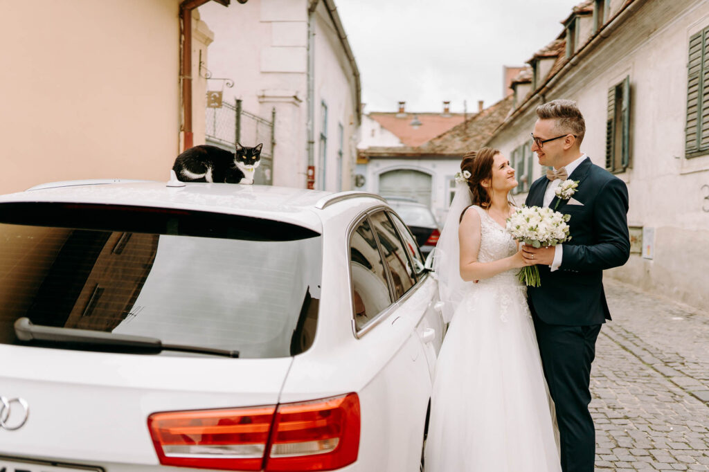 foto nunta sibiu pisica